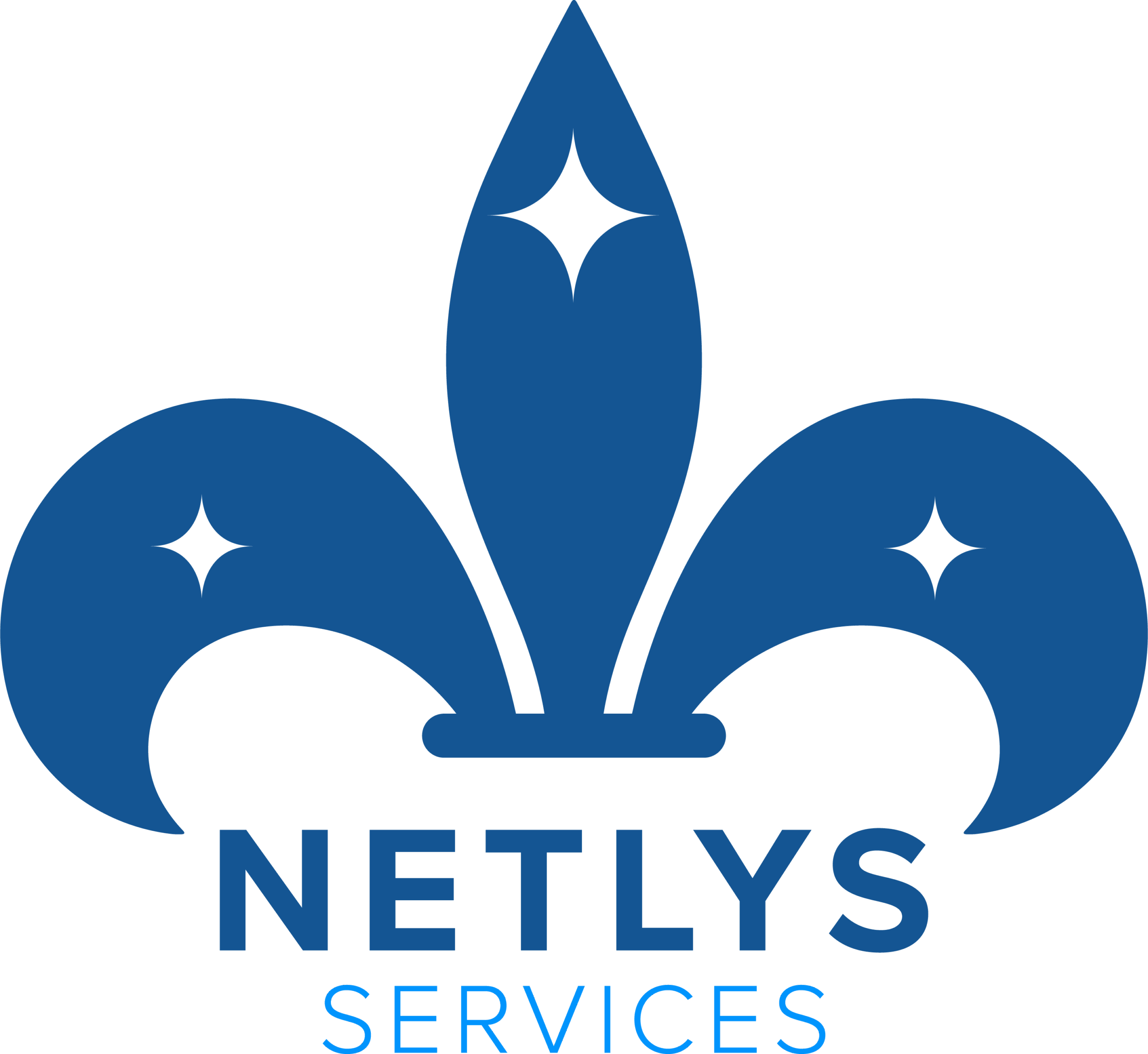 NETLYS Services – Nettoyage et conciergerie à Yverdon-les-Bains